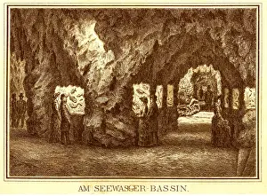 Bassin: Munich Aquarium