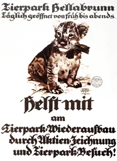 Tierpark: Munich Zoo travel poster