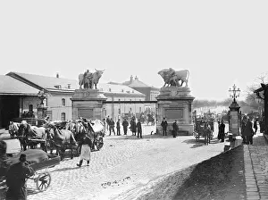 Slaughter: Municipal slaughterhouse in Vienna