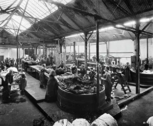 Gillow: Munitions works, White City