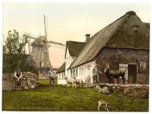 Sylt: The mill at Munkmarsch, Sylt, Schleswig-Holstein, Germany