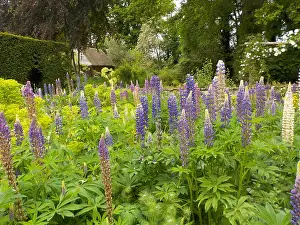 Horticulturist: Munstead Wood - The Three Corner Garden