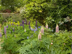 Horticulturist: Munstead Wood - The Three Corner Garden