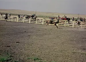 Murdo: Murdo rodeo - South Dakota