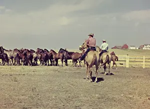 Broncos: Murdo rodeo - South Dakota