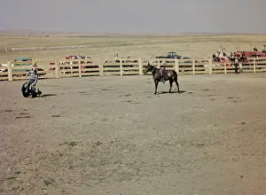 Dismounted: Murdo rodeo - South Dakota