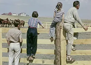 Murdo: Murdo rodeo - South Dakota