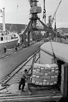 Handling: Murmansk fishing port