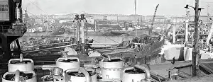 Trawlers: Murmansk fishing seaport