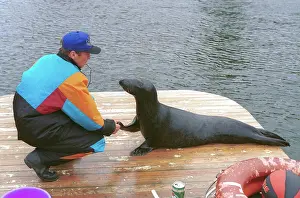 Seals: Murmansk Oceanarium, 1996
