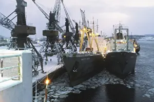 Trawlers: Murmansk seaport, 1982