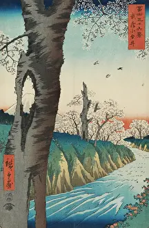 Musashi: Musashi Koganei