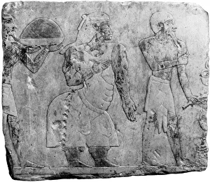 Deformity: Muscular Dystrophy, Ancient Egypt