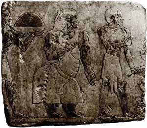 Deformity: Muscular Dystrophy, Ancient Egypt