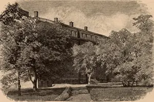 Correspondence: Museum of Comparative Zoology, Harvard University