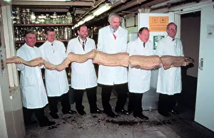 Clupeiform: Museum scientists holding Oarfish specimen