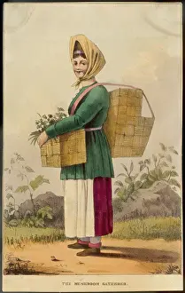 Gatherer: MUSHROOM GATHERER
