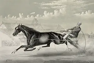Trotter: Music: Chestnut Mare, by Middletown, dam by Roe's Fiddler