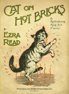 Ezra: Music Cover, Cat on Hot Bricks