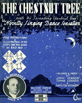Sensation: Music cover, The Chestnut Tree