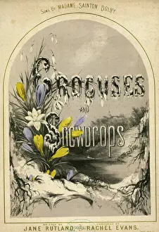 Lyrics: Music cover, Crocuses and Snowdrops