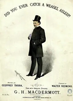Thorn: Music cover, Did You Ever Catch A Weasel Asleep?