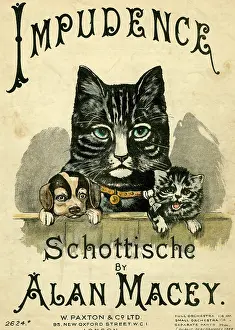 Impudence: Music cover, Impudence