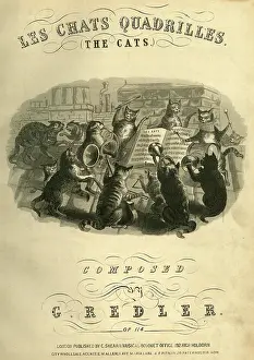 Bows: Music cover, Les Chats Quadrilles, The Cats
