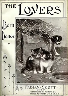 Fabian: Music cover, The Lovers, Barn Dance
