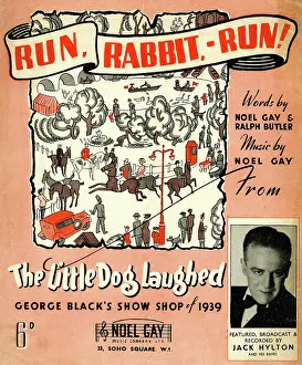 Laughed: Music cover, Run, Rabbit, Run