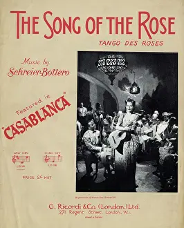 Casablanca: Music cover, The Song of the Rose