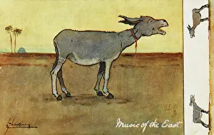 Brays: The Music of the East