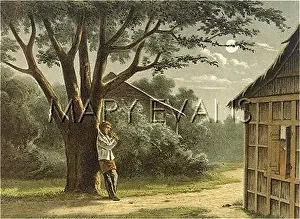 Serenades: MUSIC/REGIONAL/JAVA