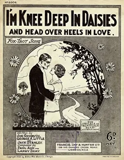 Backdrop: Music sheet: I'm knee deep in daisies