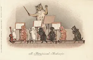 Matinee: Musical Cats