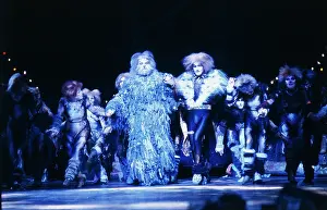 Webber: Cats