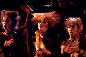 Webber: Cats