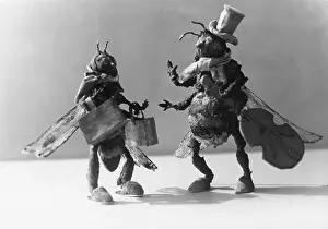 Sexist: MUSICAL DUNG FLY