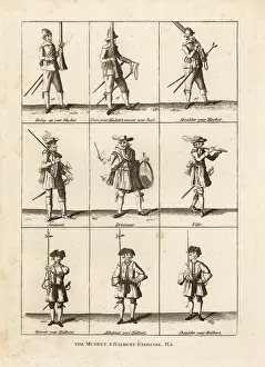 Halberd: Musket and halberd exercises