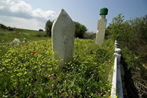 Battlefields: Muslim cemetery on the way down to W Beach