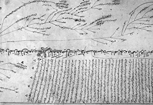 Recorded: Muslim family tree, 1935