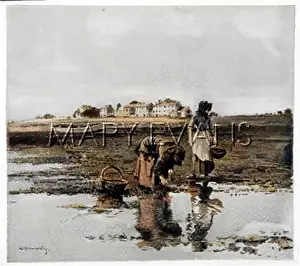 Mudflats: MUSSEL PICKING/1910