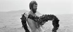 Inspects: Mussels Fishing