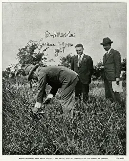 Fieldwork: MUSSOLINI/FIELDWORK
