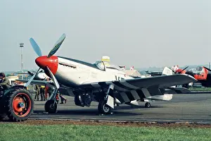 Weald: Mustang at North Weald