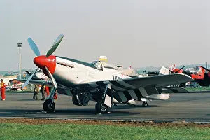 Weald: Mustang at North Weald