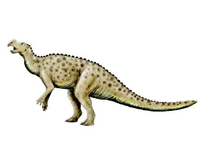 Markings: Muttaburrasaurus dinosaur