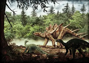 Stegosaurus: Mutualistic relationship between Dacentrurus armatus and ?