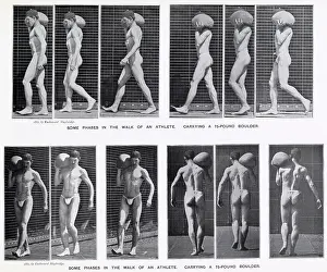 Muybridge: Muybridge - 30 Kg Stone