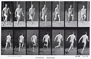 Muybridge: Muybridge - Athlete Run